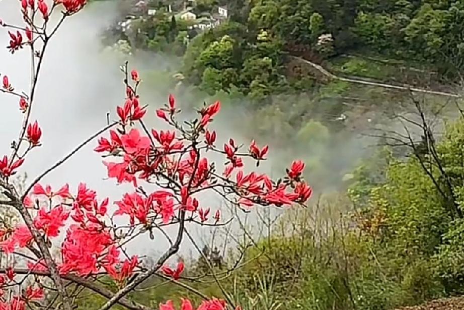 女人一定要认识一位能让你，可以以肆无忌惮聊天的男性朋友。

在你需要他的时候，他