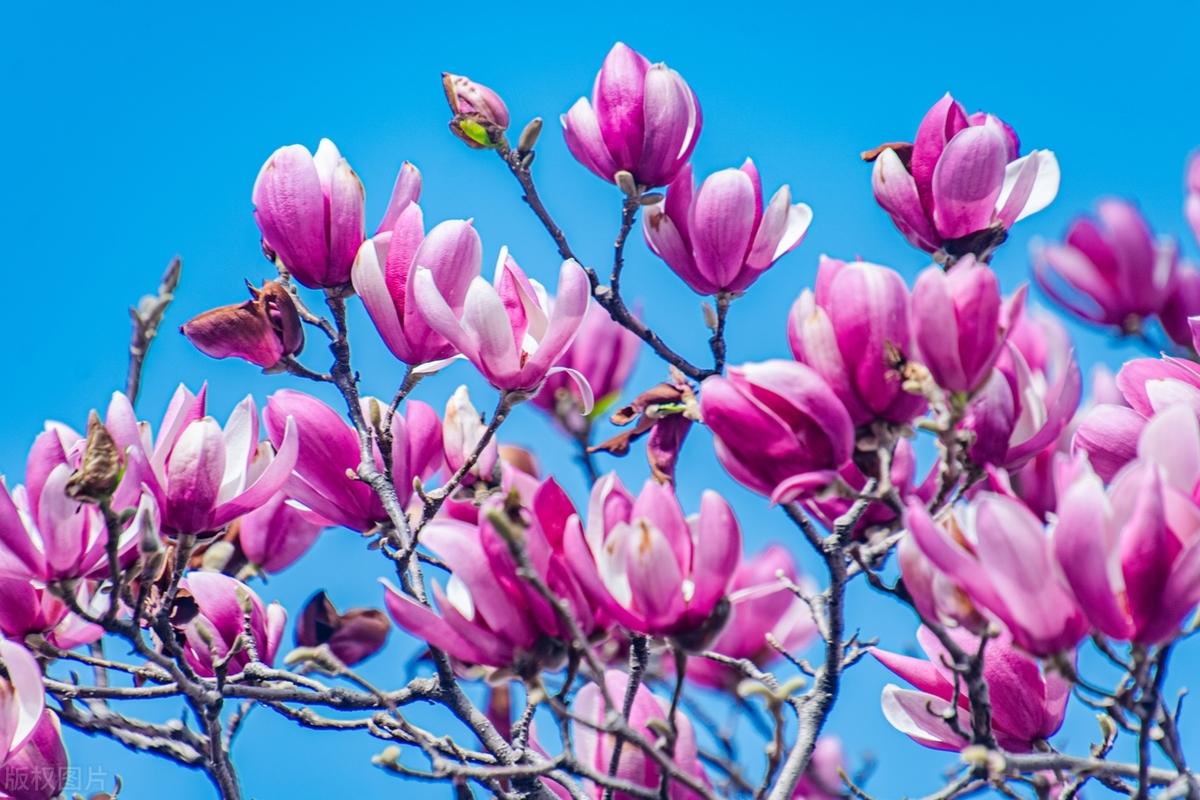 心态决定看世界的眼光，行动决定生存的状态。要想活出尊严，展现不凡，只有改变观念，