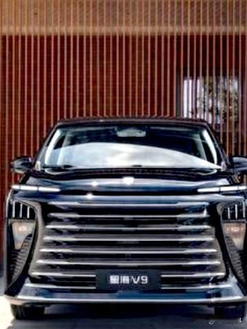 东风风行星海v9悦享系列，有着精准的定位于中大型MPV市场上。以优惠的价格准确的