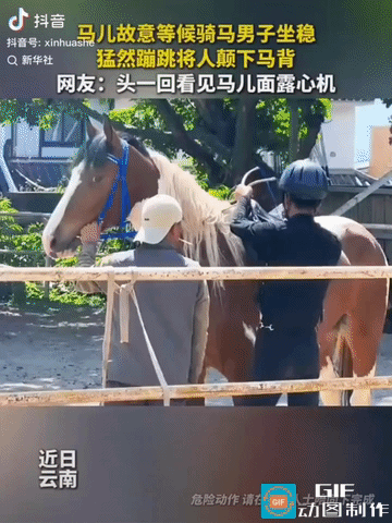 “火上新华社了！”云南，一只马儿假装乖乖等候骑手坐上马背，眼里满是狡黠，骑手刚刚