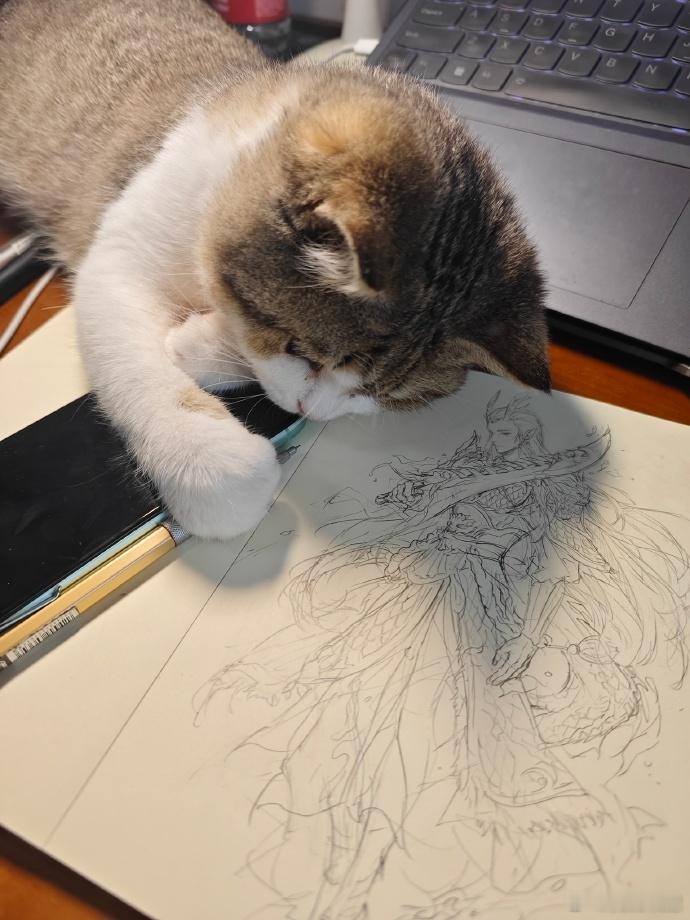 灵动的小猫，竟有画龙之态。那稚嫩笔触下，似藏着别样奇趣，小小的创作，满是纯真与想