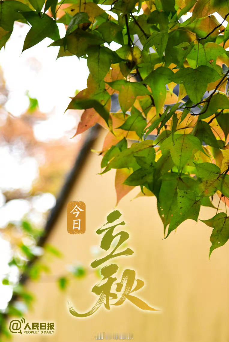 【今日，立秋】8月7日，秋季的第一个节气来了。“立”有“开端”之意，立秋标志着炎