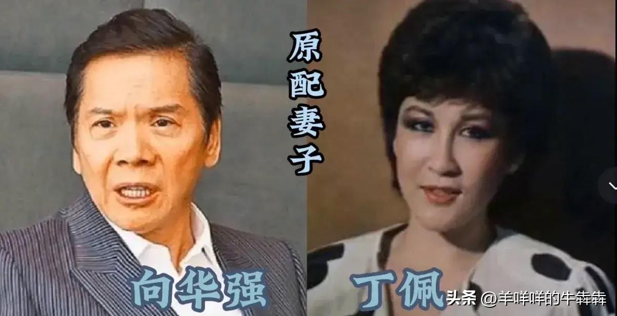 我每次看到这些老照片都忍不住感慨，周润发、甄子丹、曾志伟这些叱咤港圈半个世纪的大