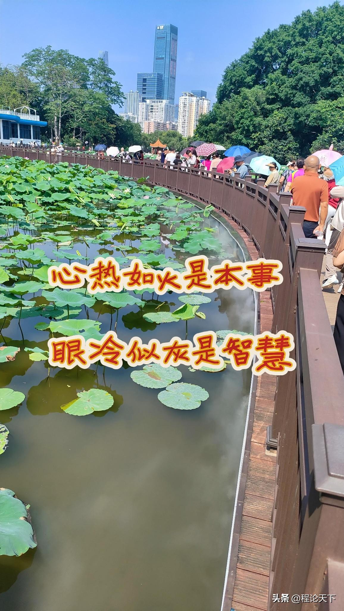 半夜睡不着、白天醒不了？过来人告诉你：睡时如长眠，醒时如弃履

我今年六十整，退