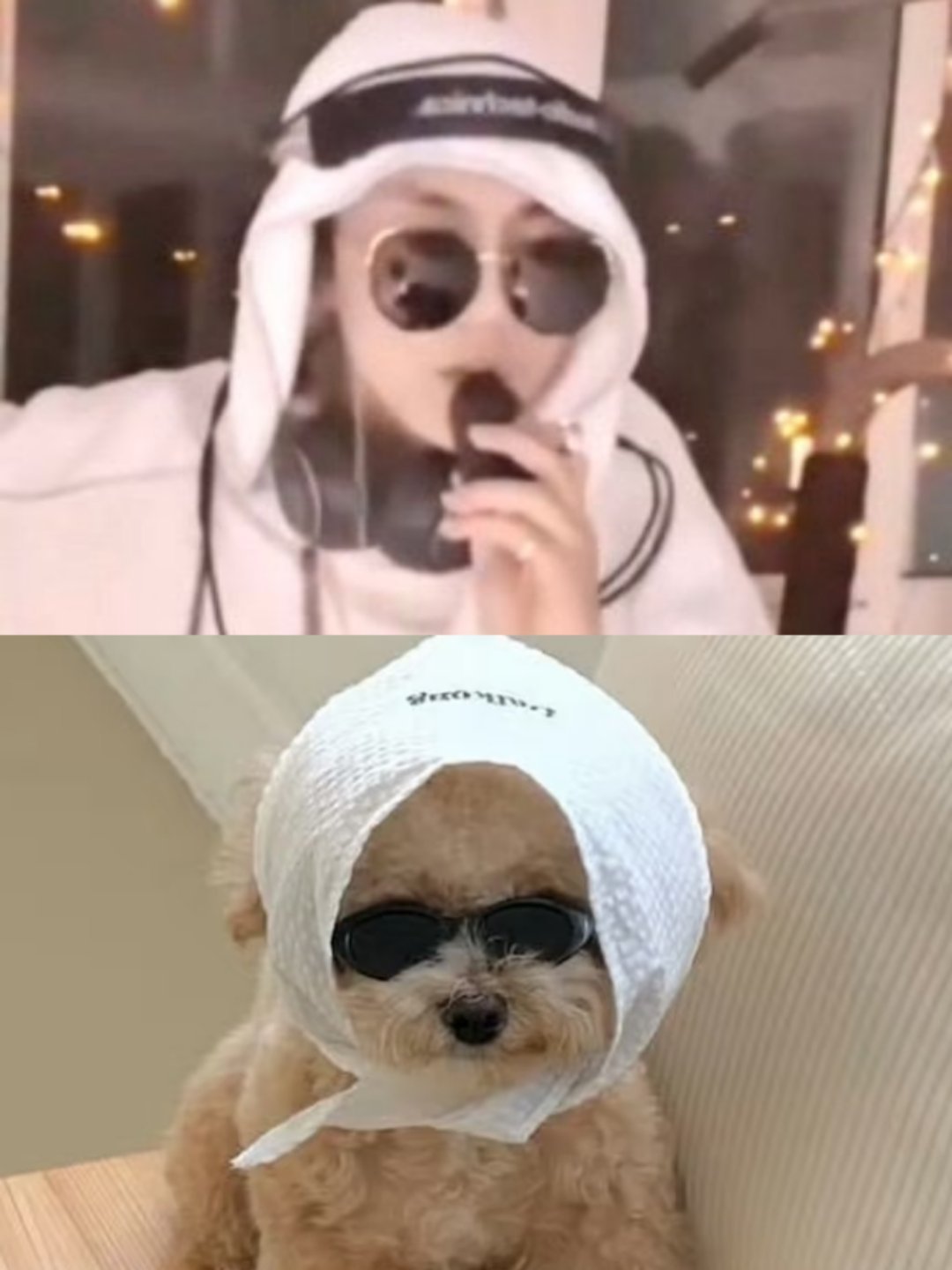 【4601】饼的天！怎么突然天黑了🕶️