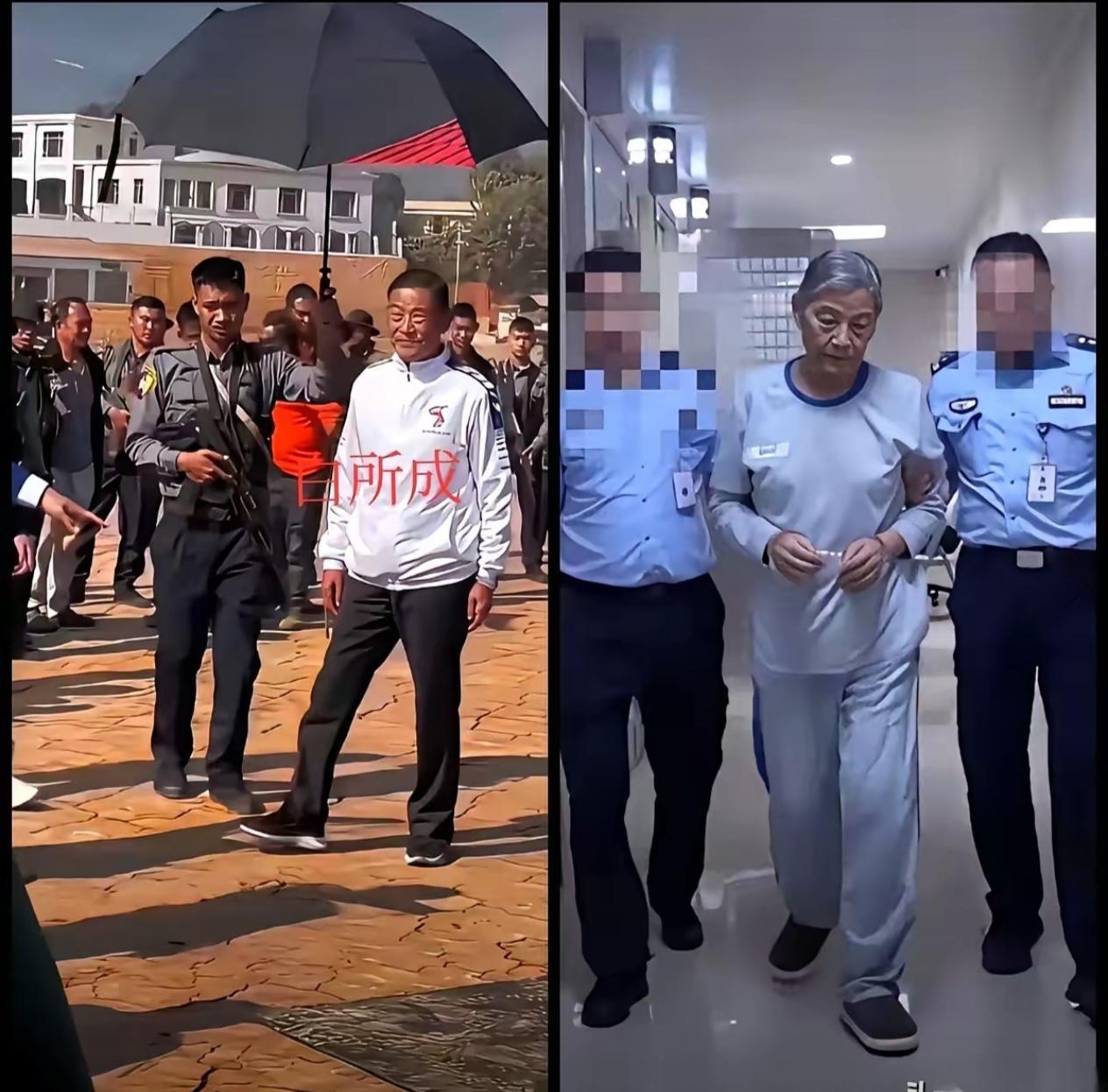 白所成，死刑。他二儿子白应苍，死刑。这一个作恶多端的家族，一下领到五份死刑判决，