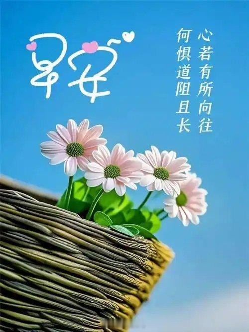 早安 心有所想，目有所望，每个人眼中都有一个不同的世界，世界如此美好，又是新的一