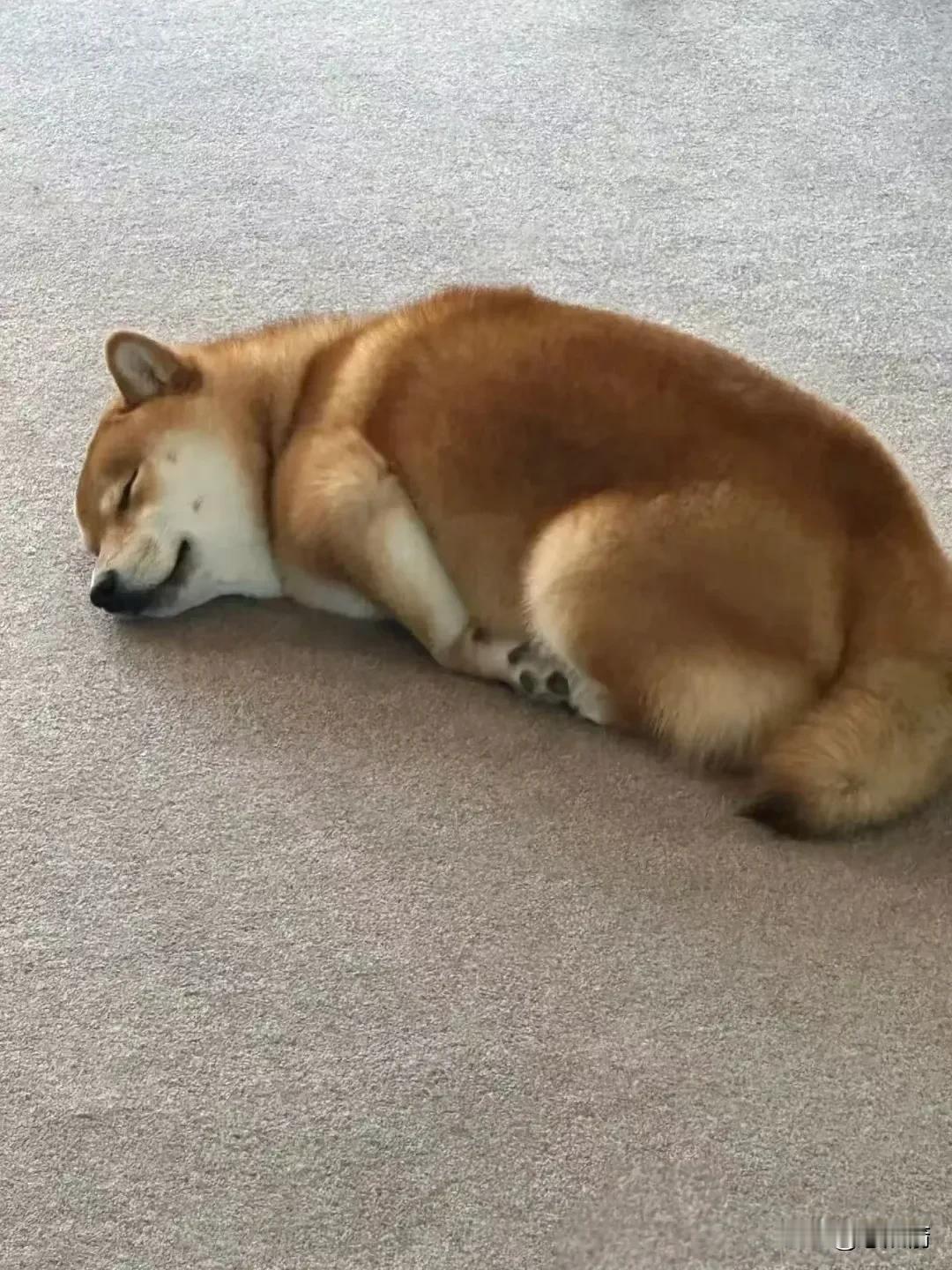 异父异母的亲兄弟
是