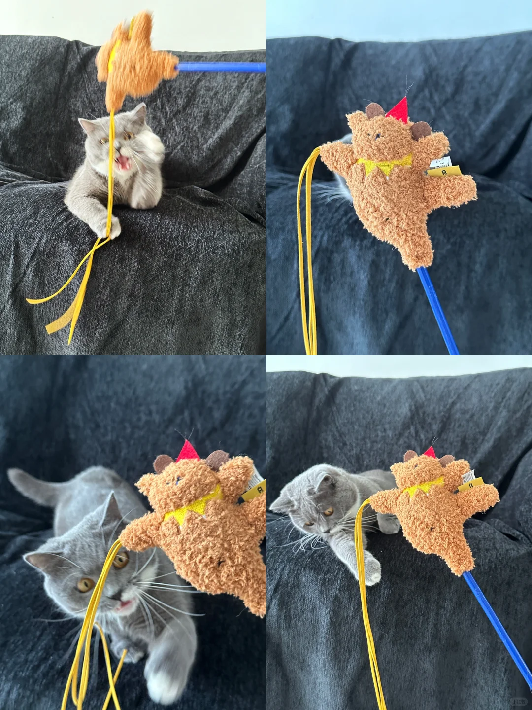 萌翻了☺️这猫咪玩具真是太可爱了