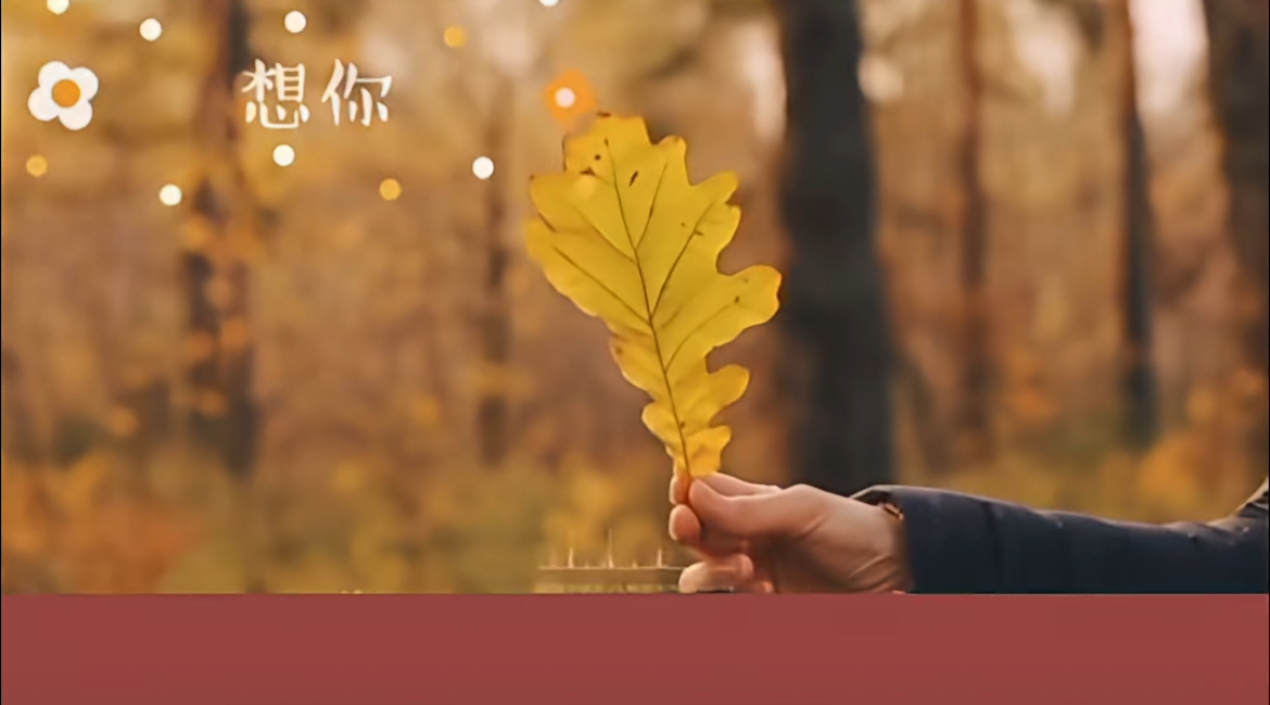 今生不小心爱上了你，忙时想你，闲时想你，满脑子都是你，一份晚来的情，一份迟来的爱