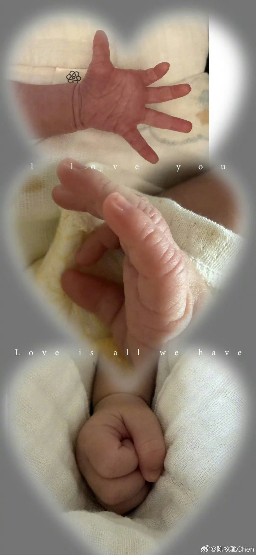 陈牧驰陈冰结婚生子不被舆论定义，只守彼此真心。陈冰是他的盾牌，他是全家的依靠，低