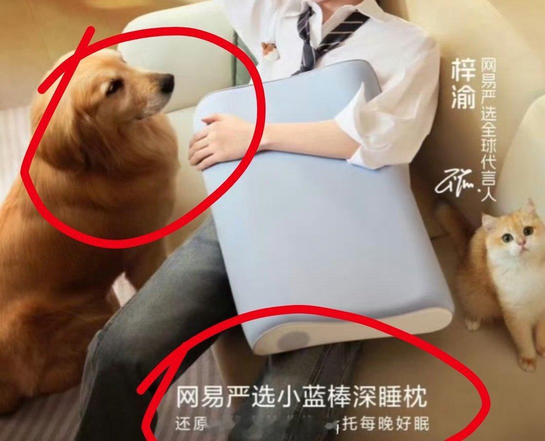 这个全球就卖狗粮和枕头啊... 