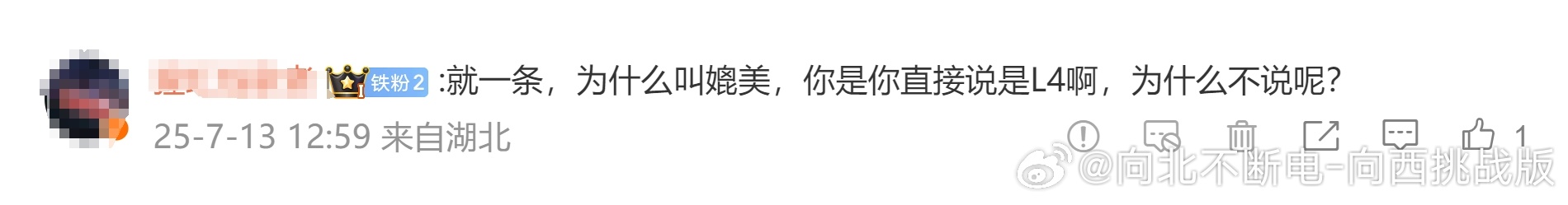 因为目前没有明确要求，允许去讲L4啊但是车企对自己有信心，认为技术和能力足够，所