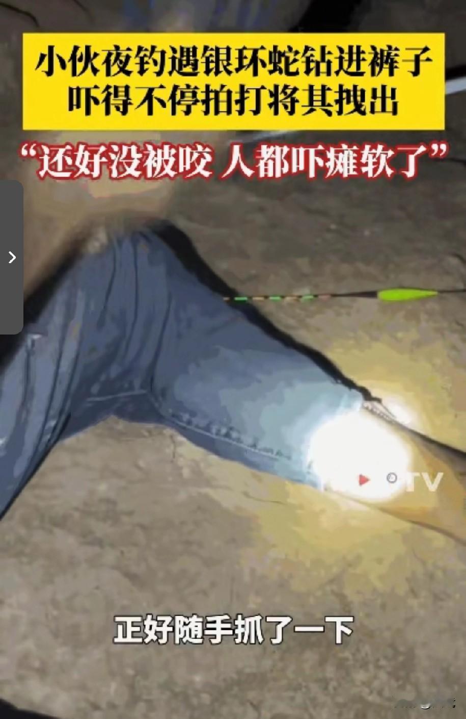 夜钓遇银环蛇！防城港男子拖鞋“拍蛇”化险为夷，网友：这运气太“毒”了！‌

9月