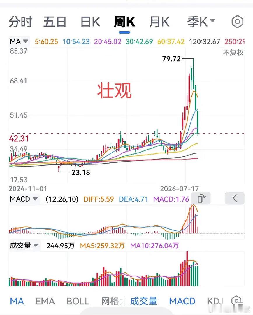 下一波反弹会成真龙的会是哪些股？这一波暴跌，跌的最惨的不一定是下一轮真龙，其实周