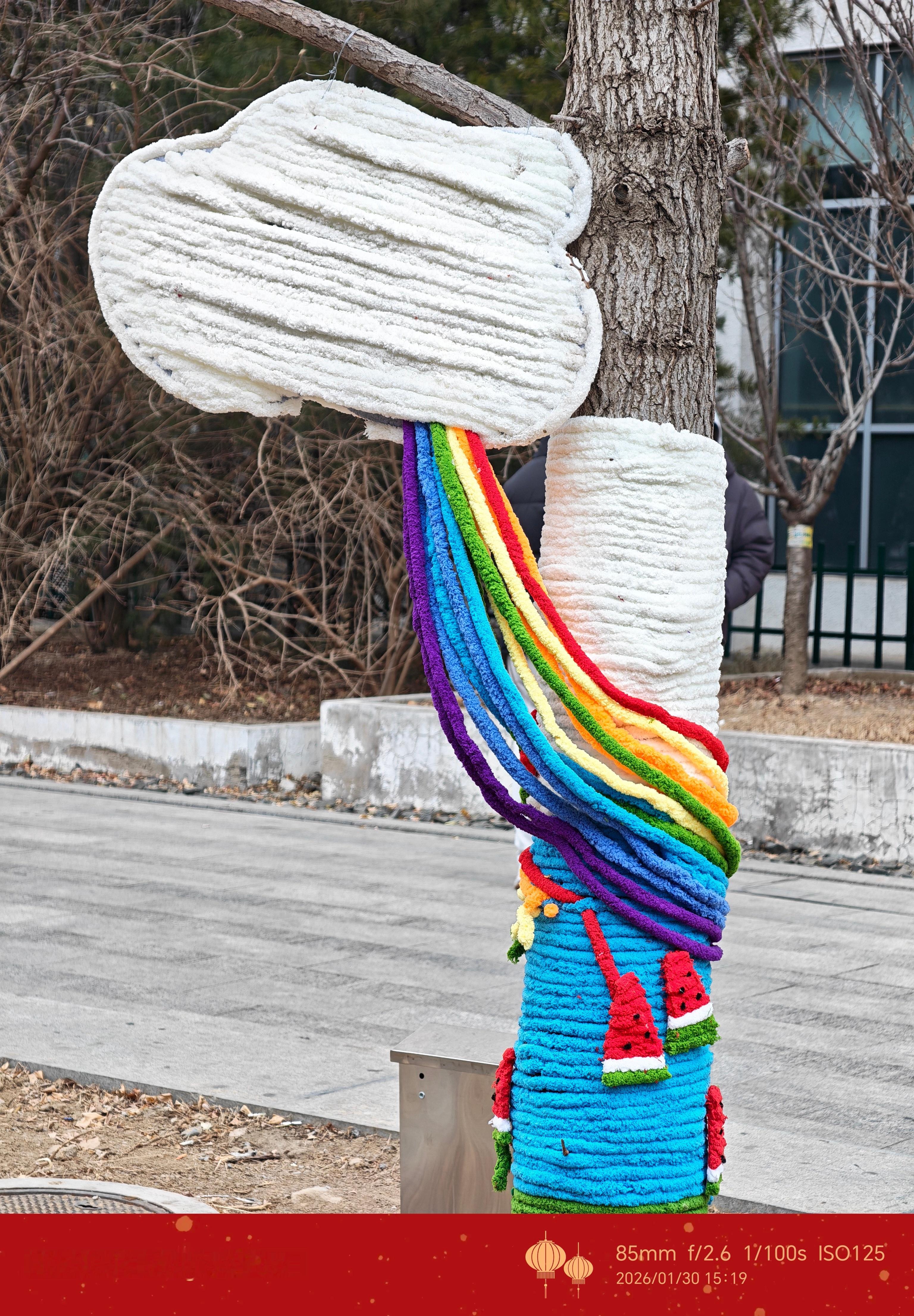 北京的冬天  大树也穿上了毛衣 