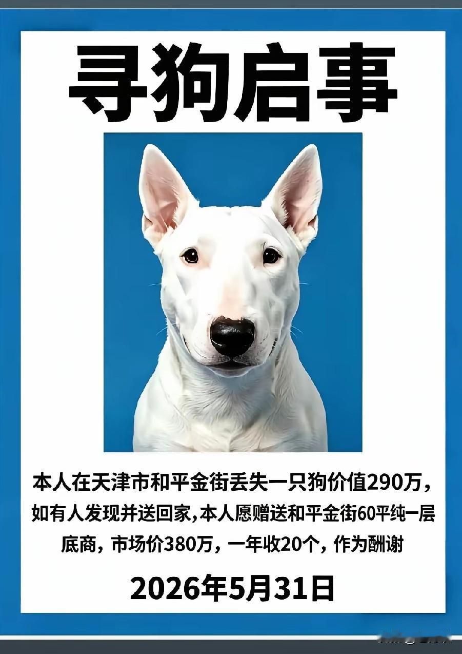 真的是贫穷限制了想象，一只看起来普普通通的狗价值高达 300 余万元，这可比意外