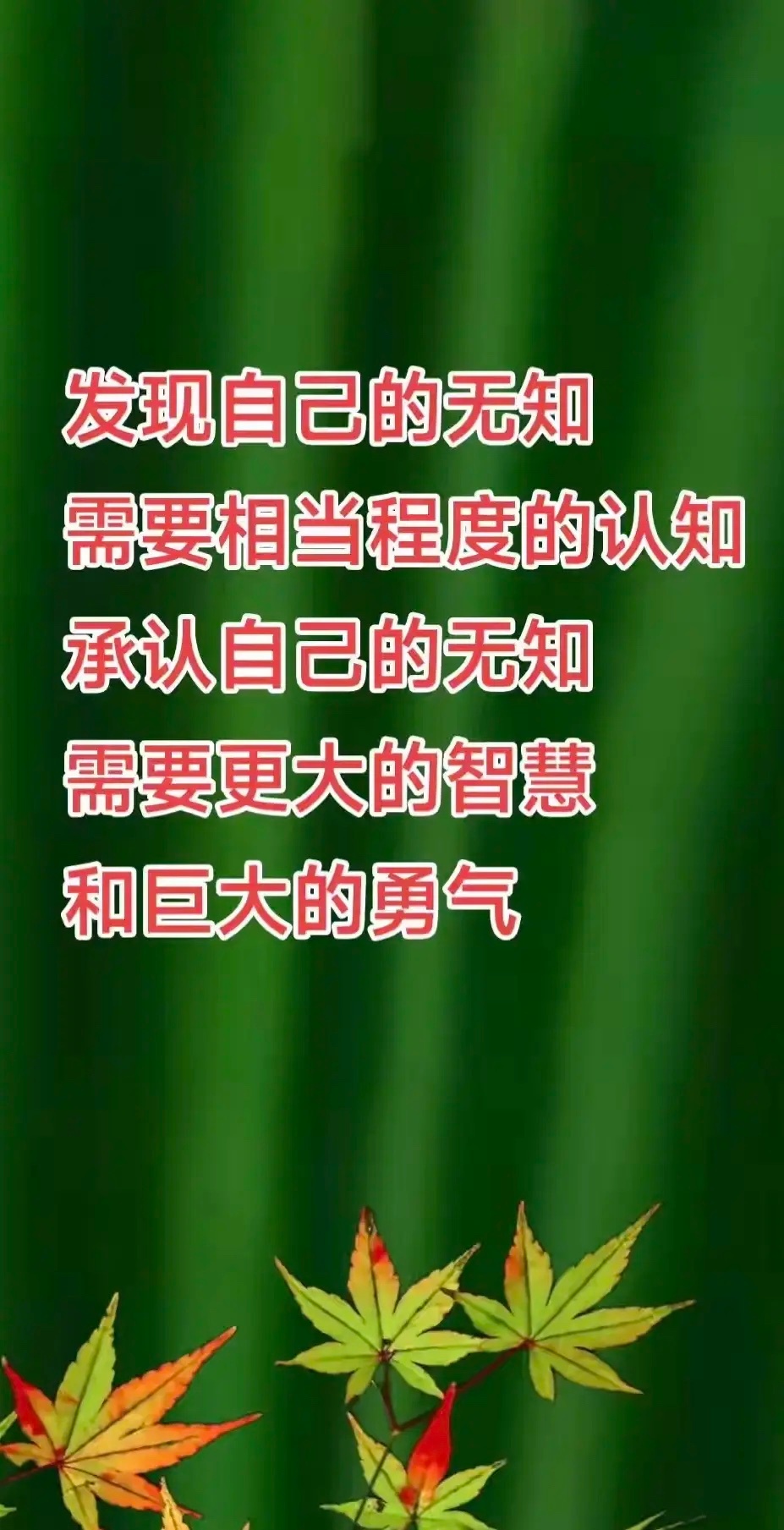 勇气认知人生哲理 ​​​