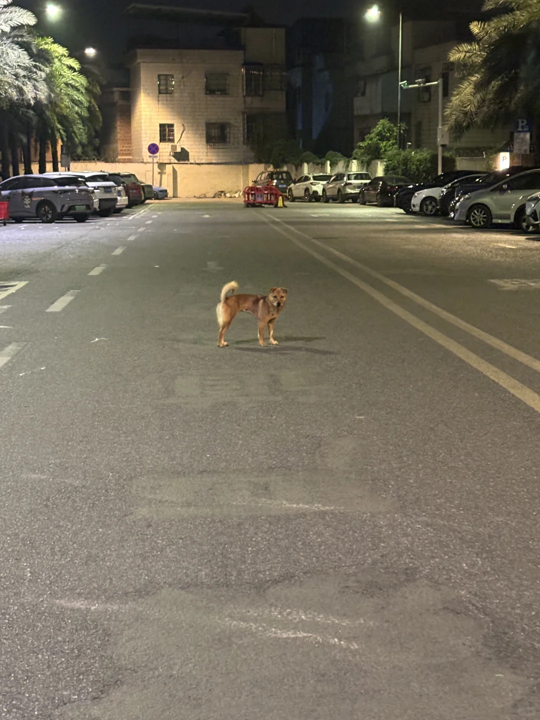 终于这一刻还是来临了。。