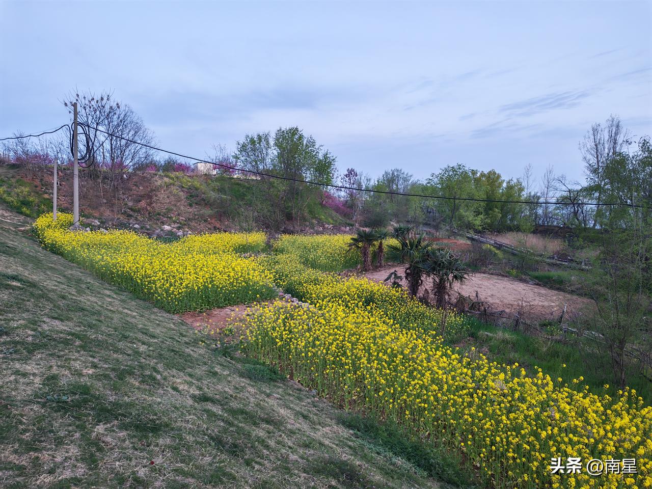 春天，百花盛开