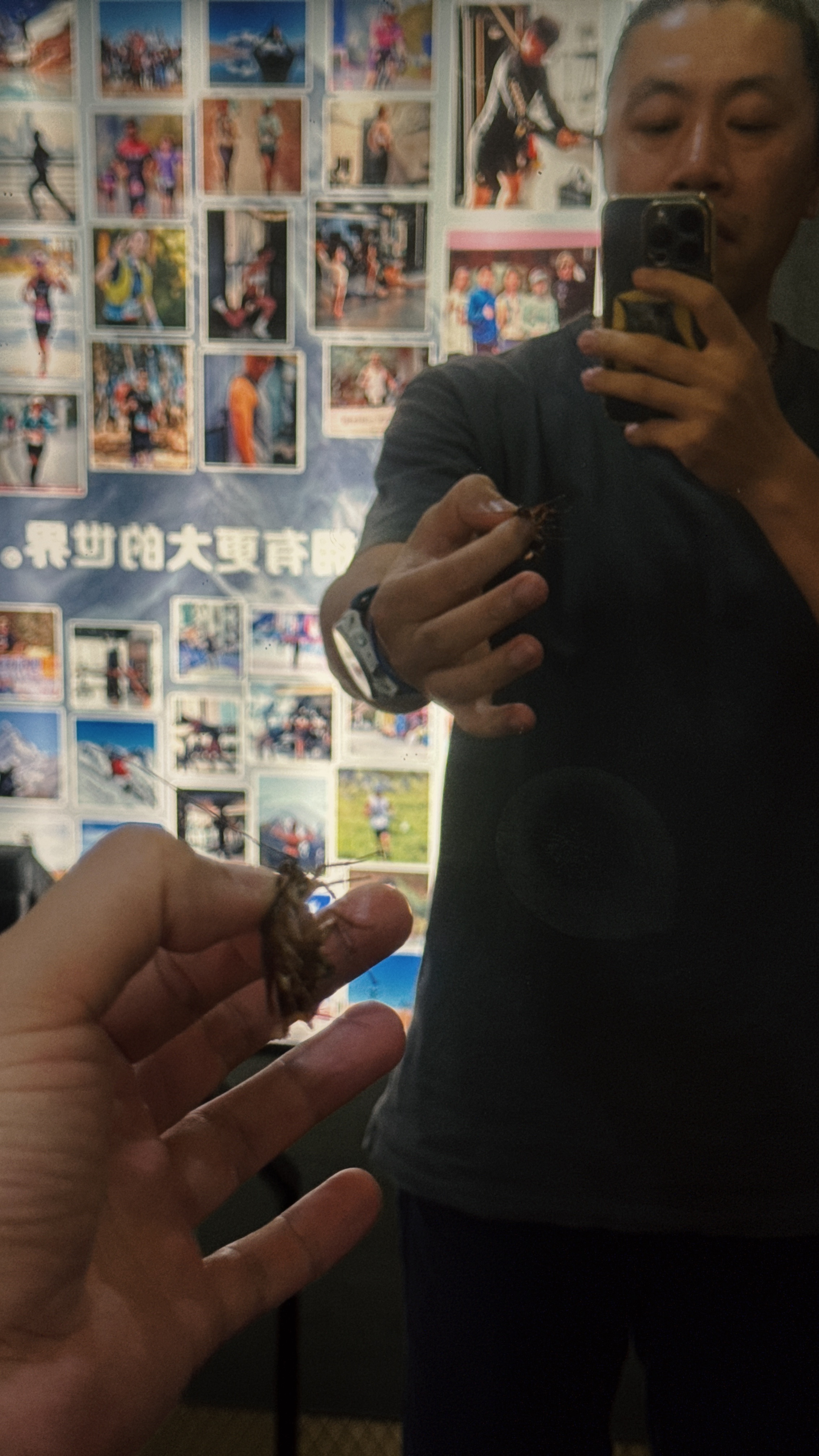 什么叫纯血广东人。 