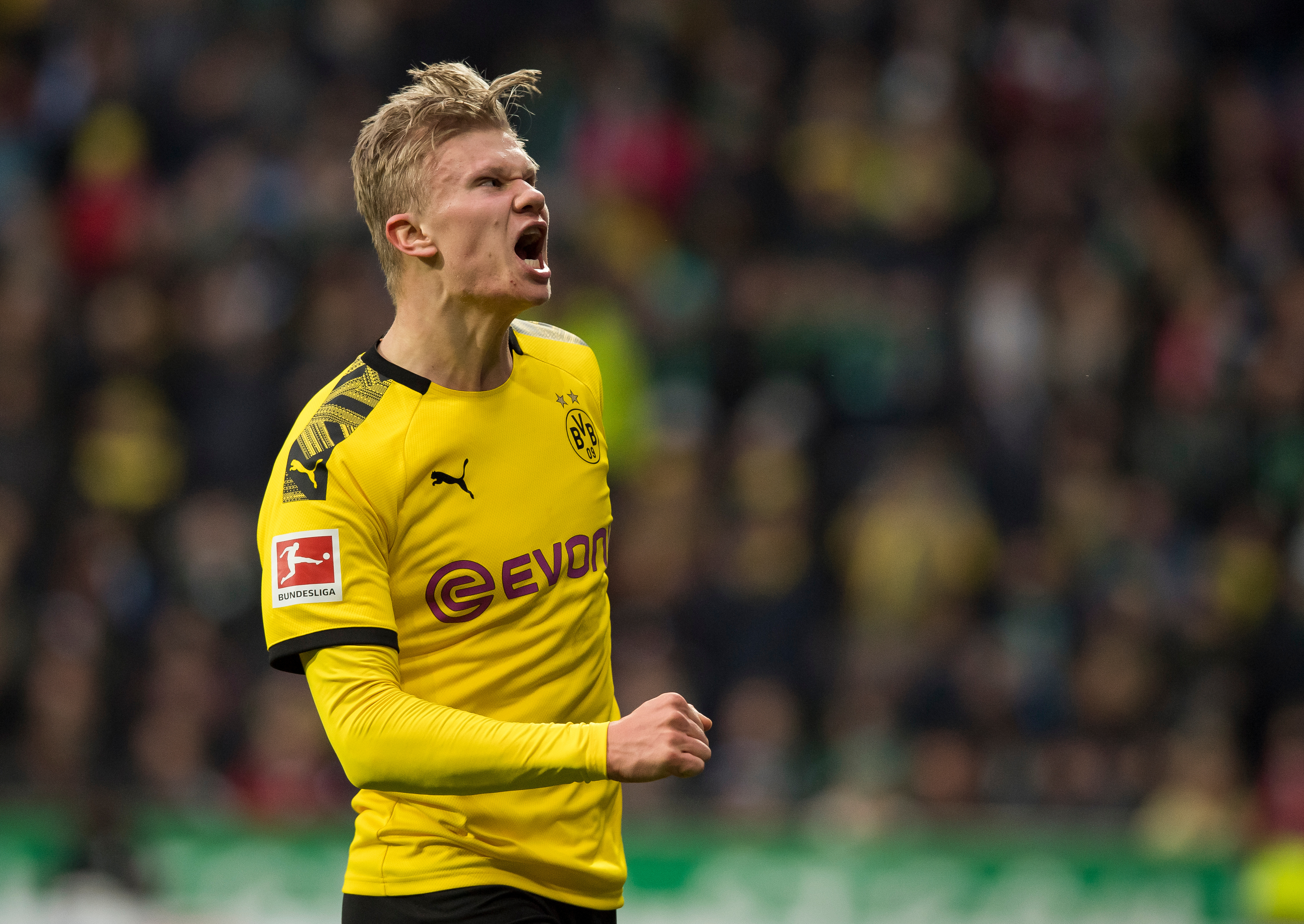🎂今天先不吃小孩了，哈宝要吃蛋糕！💛🖤祝26岁生日快乐！！！hejabvb