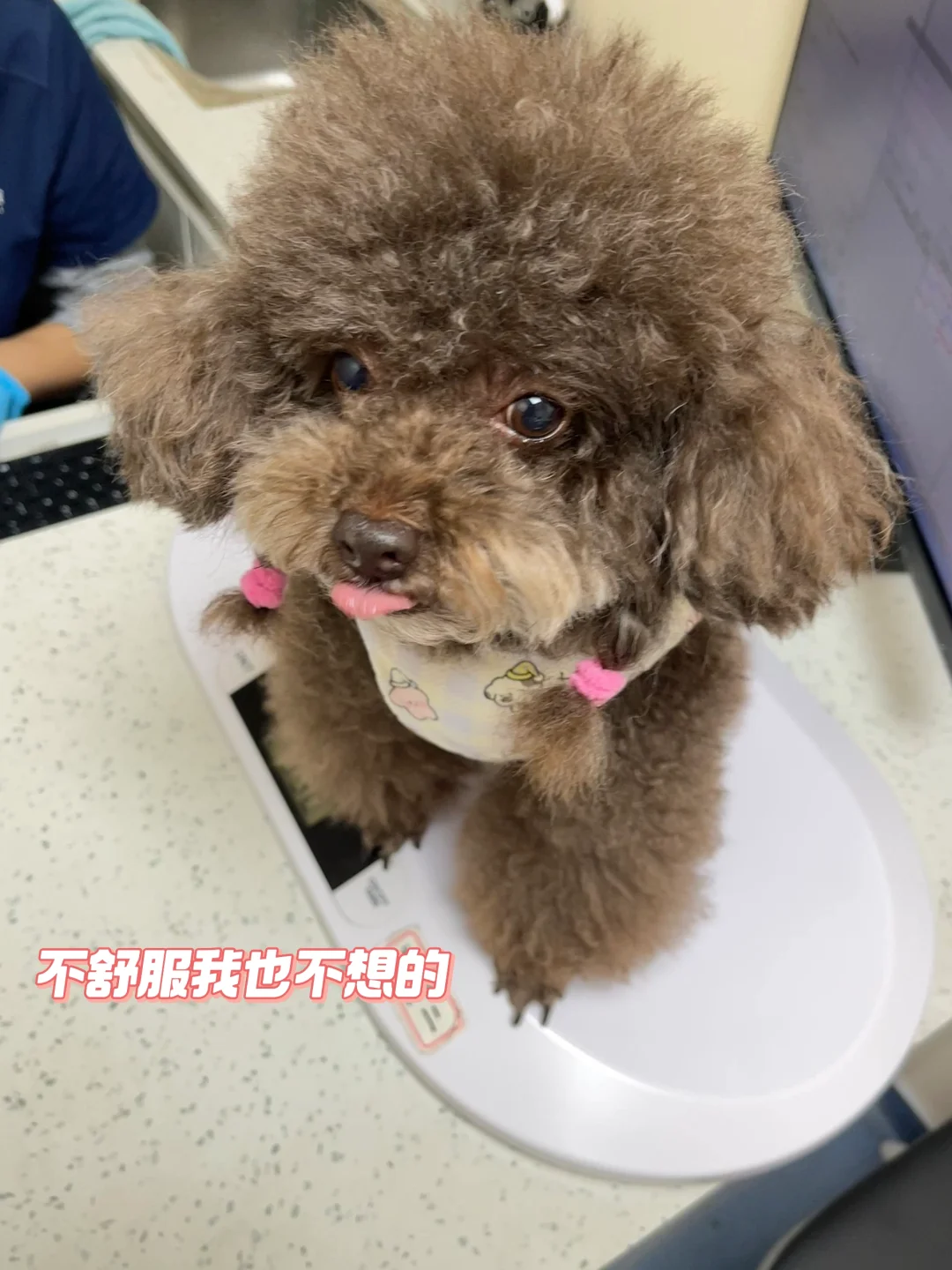 疲惫的一周：二胎家庭接连突发肠胃炎🏥