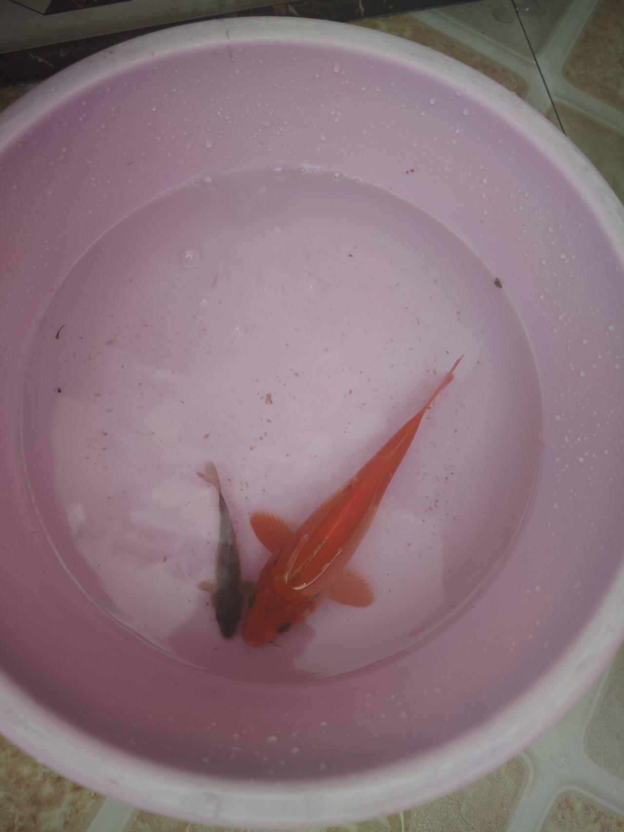 要么是摔进深不见底的低谷，掏心掏肺拼了好几年的项目说黄就黄，身边围着你转的人转头