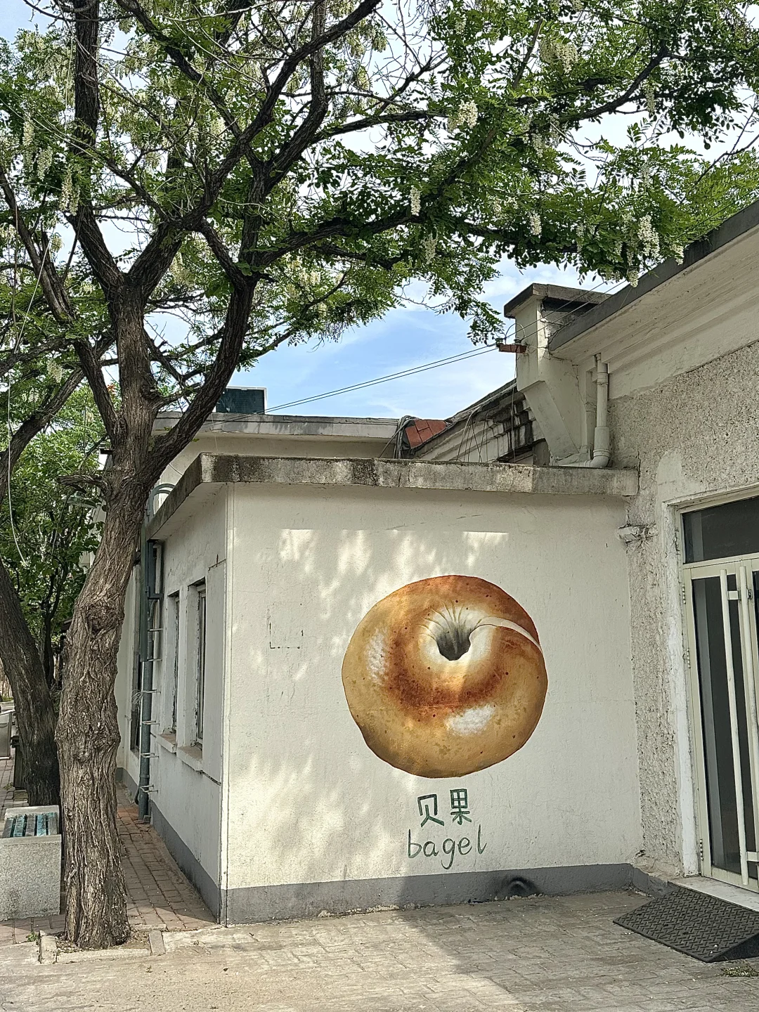 青岛2月实况！！一些不花钱的快乐（附攻略🌟）