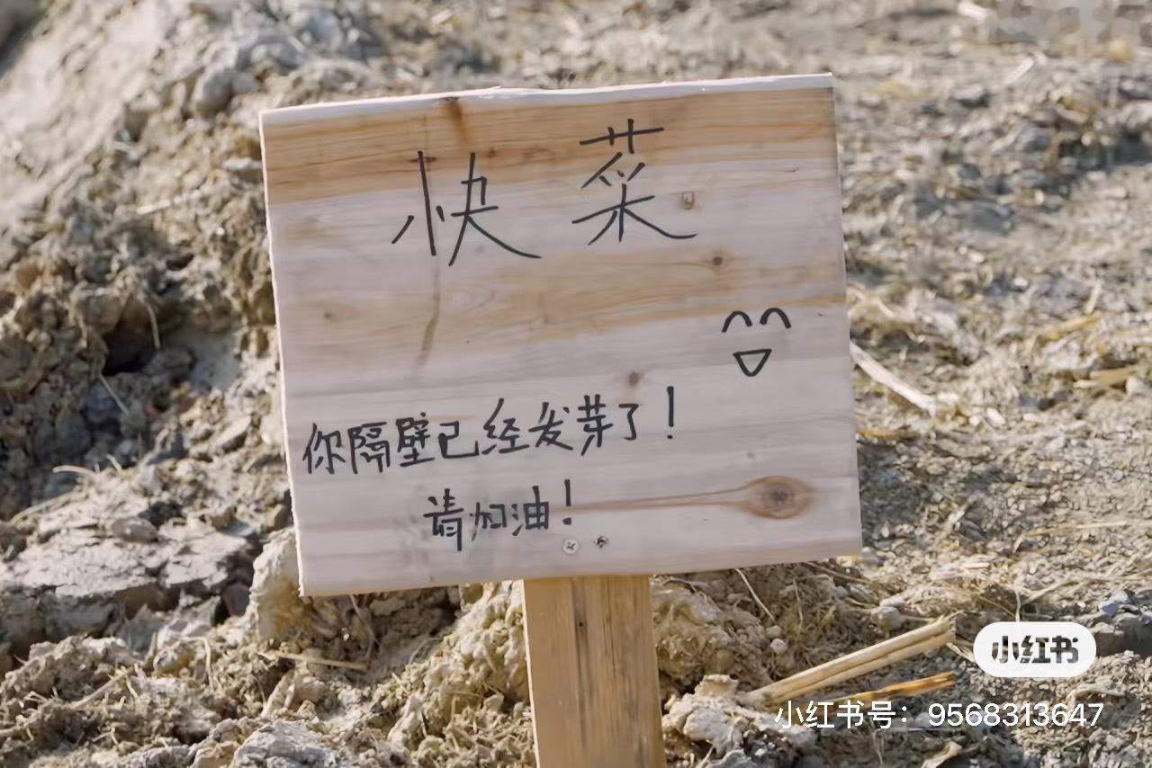 刷到一个帖子说收集沅子的萌点，脑子里第一反应就是这个，还有给他的百香果施肥，一边