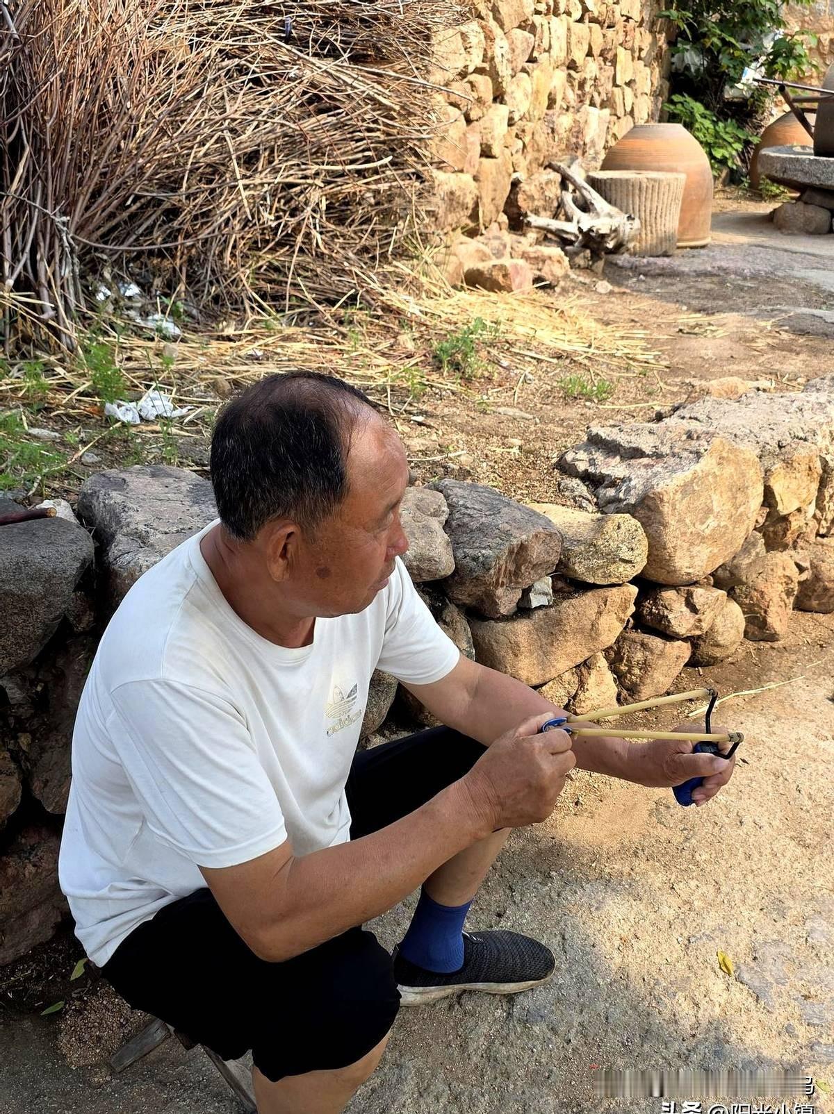 我这个人就是挺傻，有时候脑子直接转不动……

昨天三叔举着弹弓说麻雀是害虫那会儿