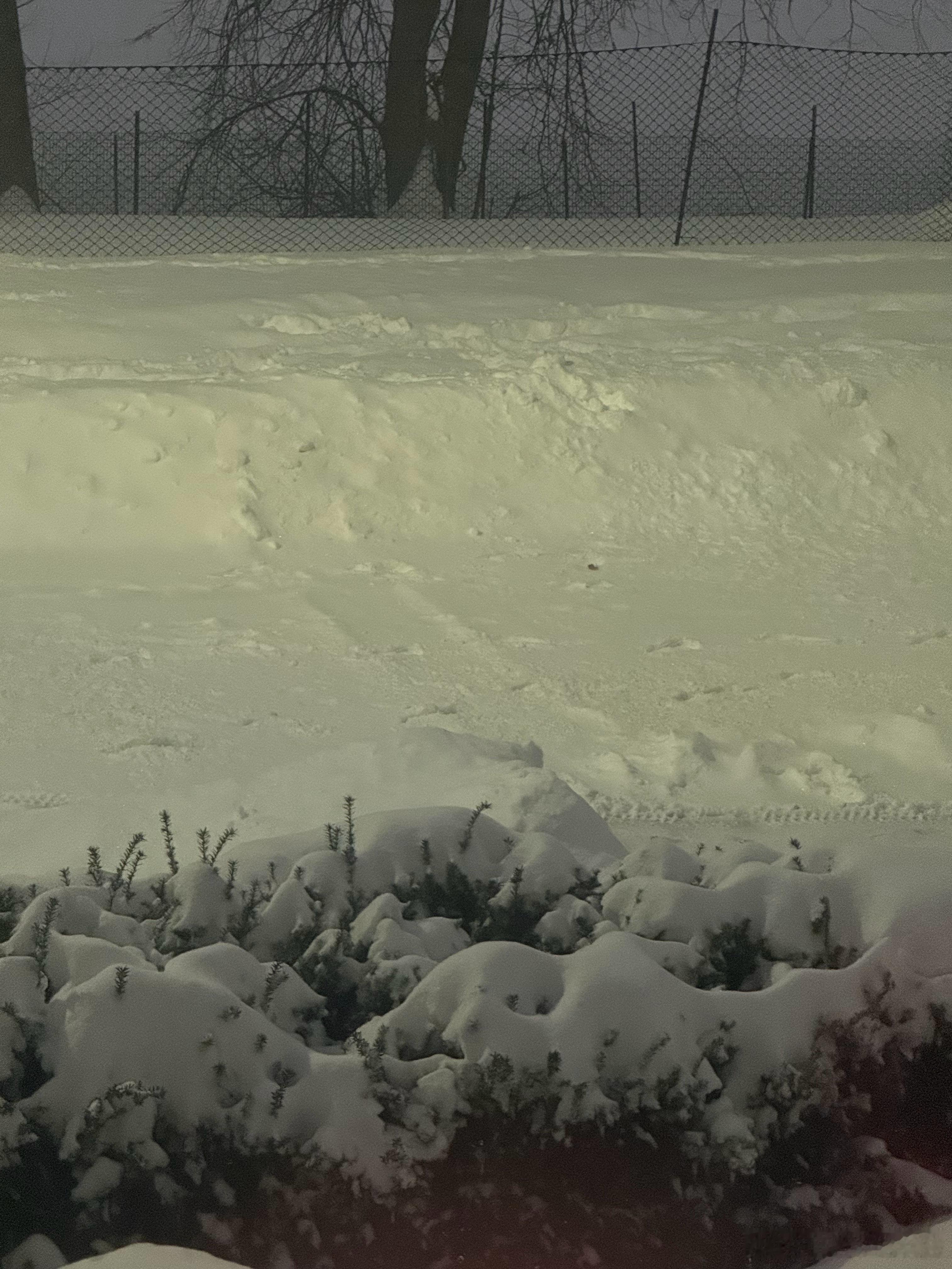 市政府的铲雪车不知道什么时候已经把路上一尺多深的雪给铲掉了，邻居蒂姆刚刚用铲雪机