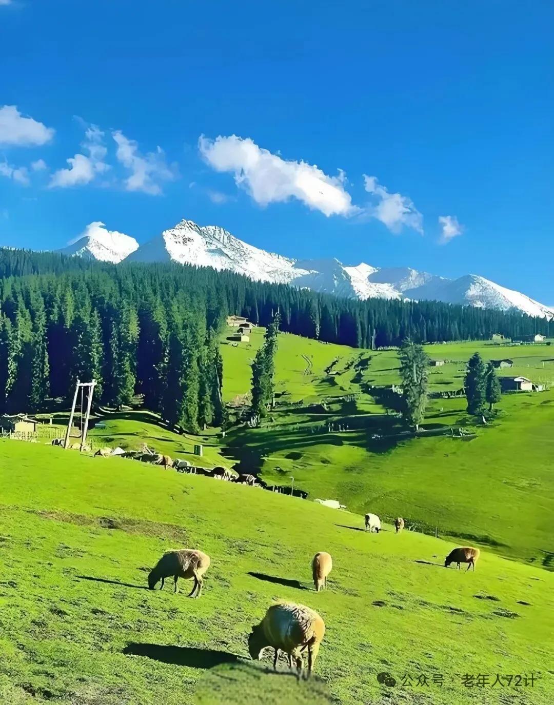 人老了，想要让自己多活几年，少生点病，其实就只有一个方法，那就是少操心，少生气，