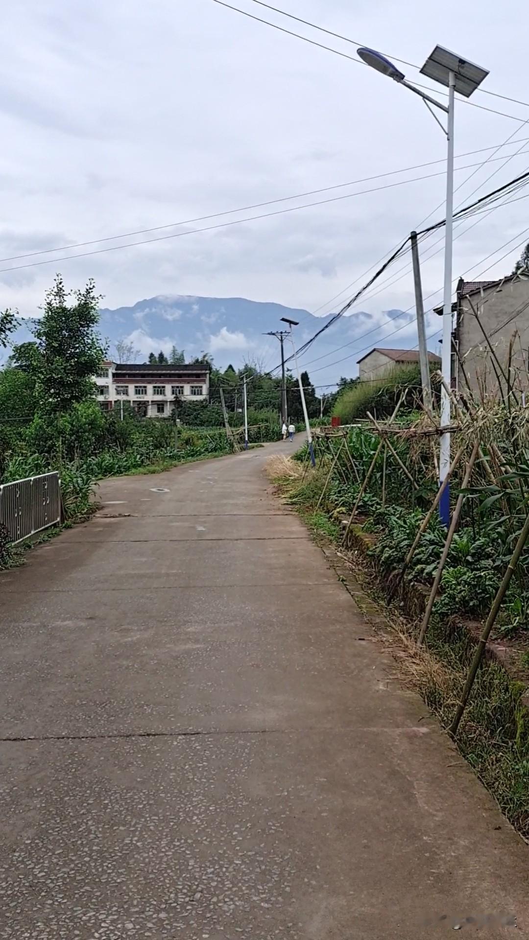 兄弟姐妹们，我在头条也写连载了。

别笑话我，我写的根本没人看，我自知我底子差，