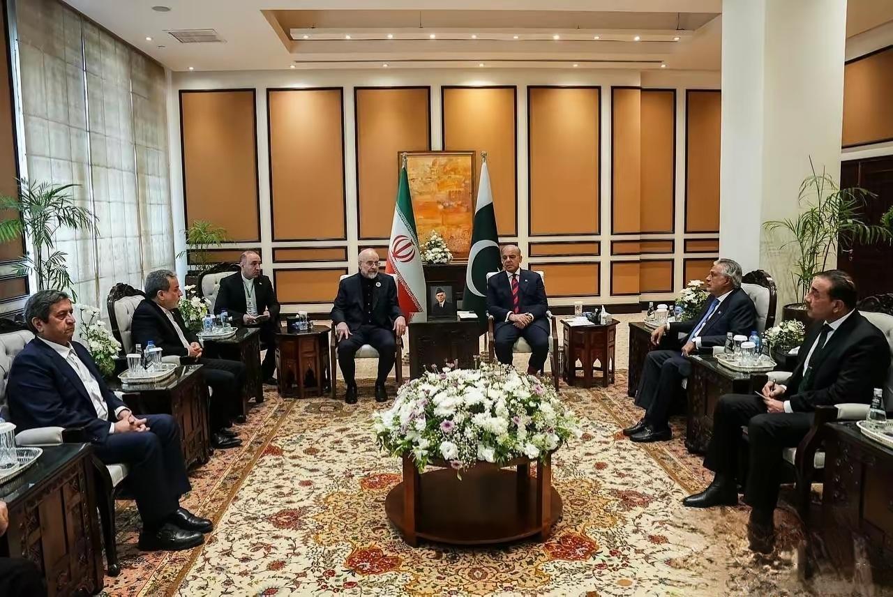 巴基斯坦这波外交操作，看似亏本实则赚麻了

最近巴基斯坦牵头斡旋美伊和谈，明眼人