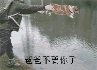 嘿嘿，豆瓣🦐塘被昀帝炸开了锅，活蹦乱跳的很适合给昀帝走红毯助助兴见识了🦐式不