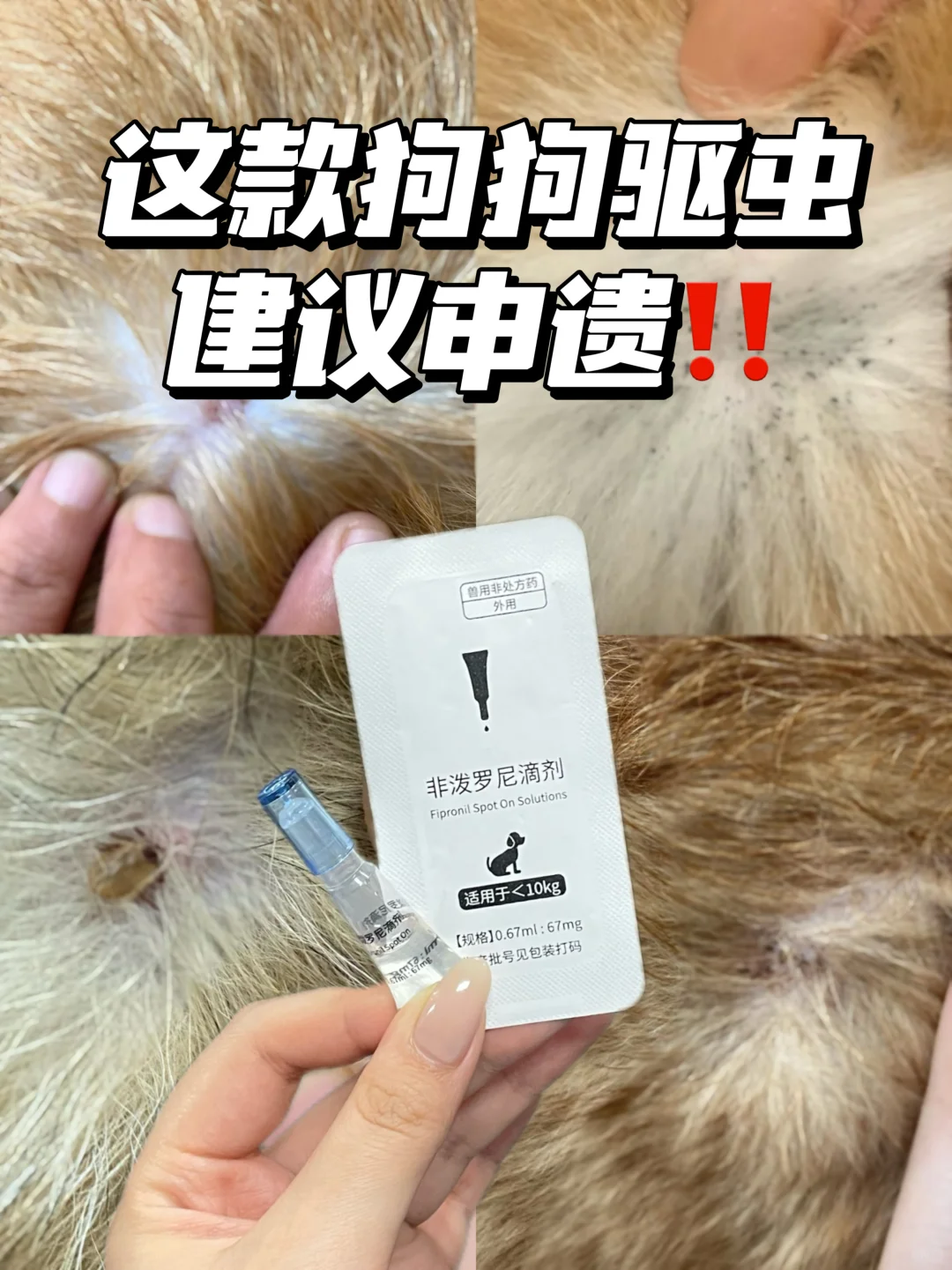 简直不要太好用！驱虫跟着我盲选就对了❗️