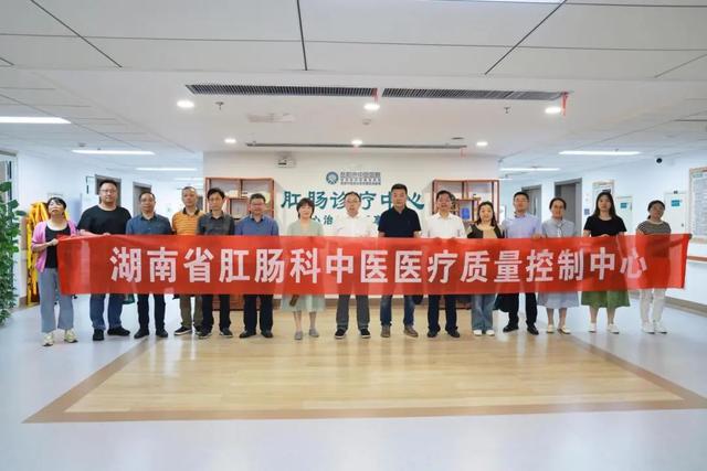湖南省中医肛肠专科集群建设暨同质化培训会议在岳阳召开