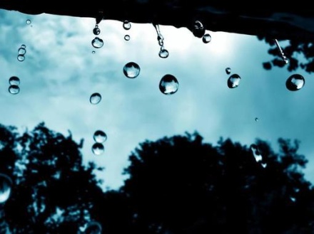 你问我爱你值不值得，其实你应该知道，爱就是不问值得不值得。——张爱玲