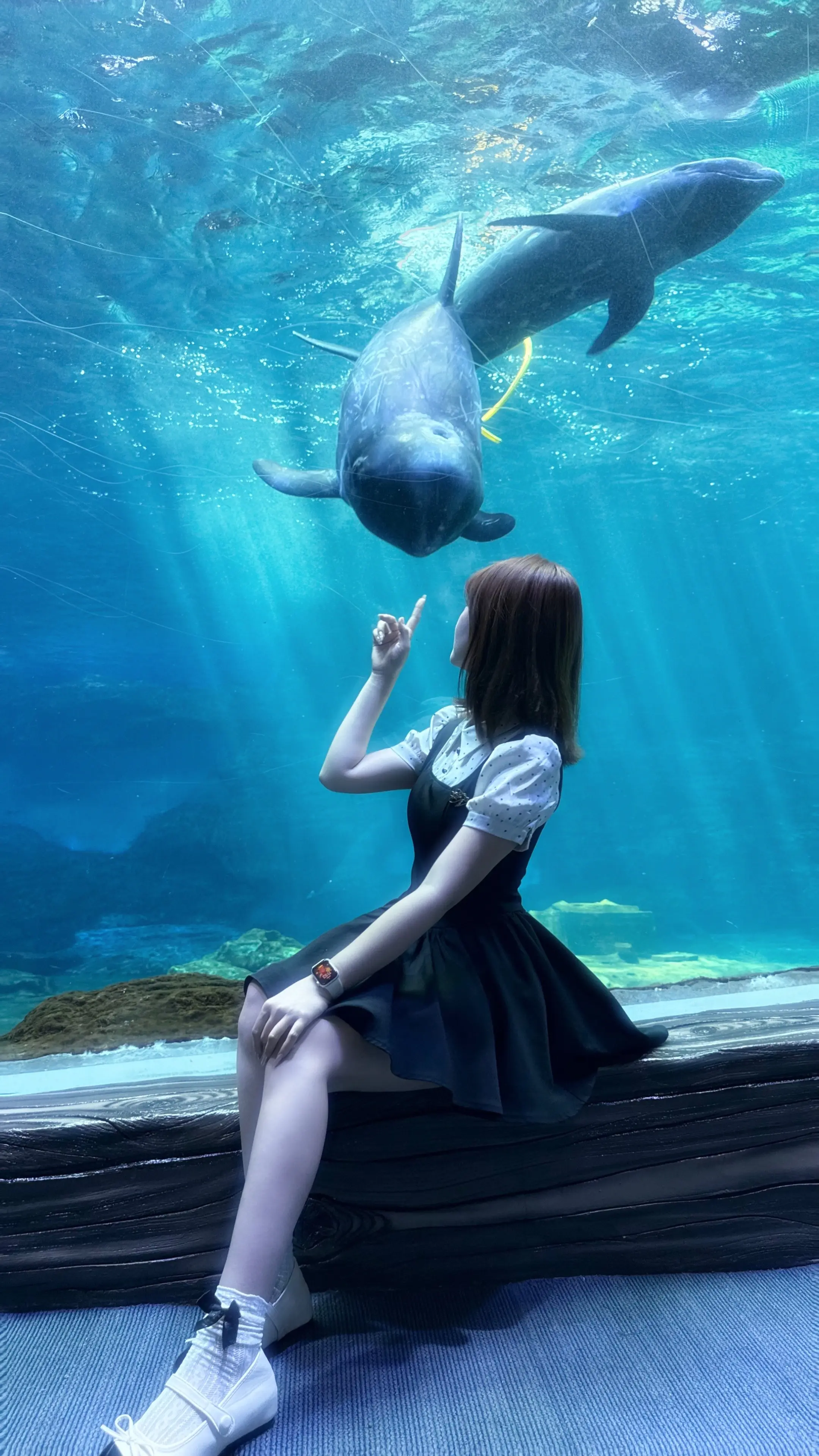 𝑩𝒍𝒖𝒆💙 🫧🪼🐡🐠🐬🐋🐳