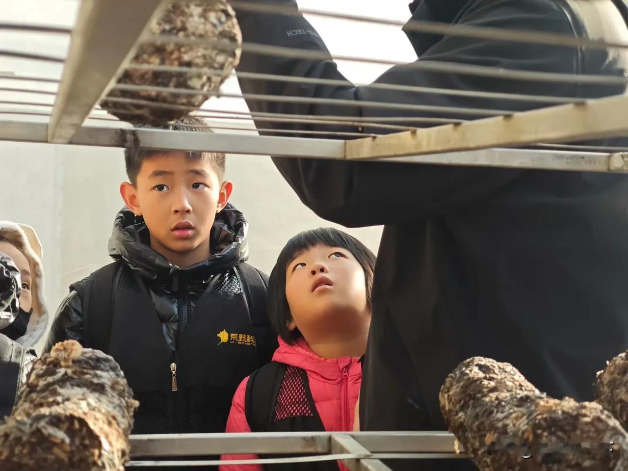 【惠友成】最后三张，知道娃手里拿的是什么蘑菇吗？

这是一节荒野科学课，超好玩的