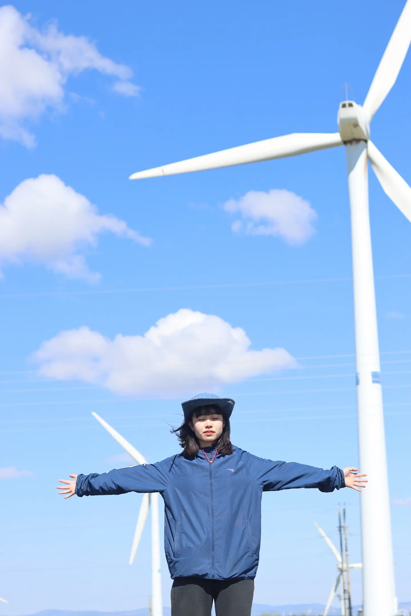 我的春横溢四季