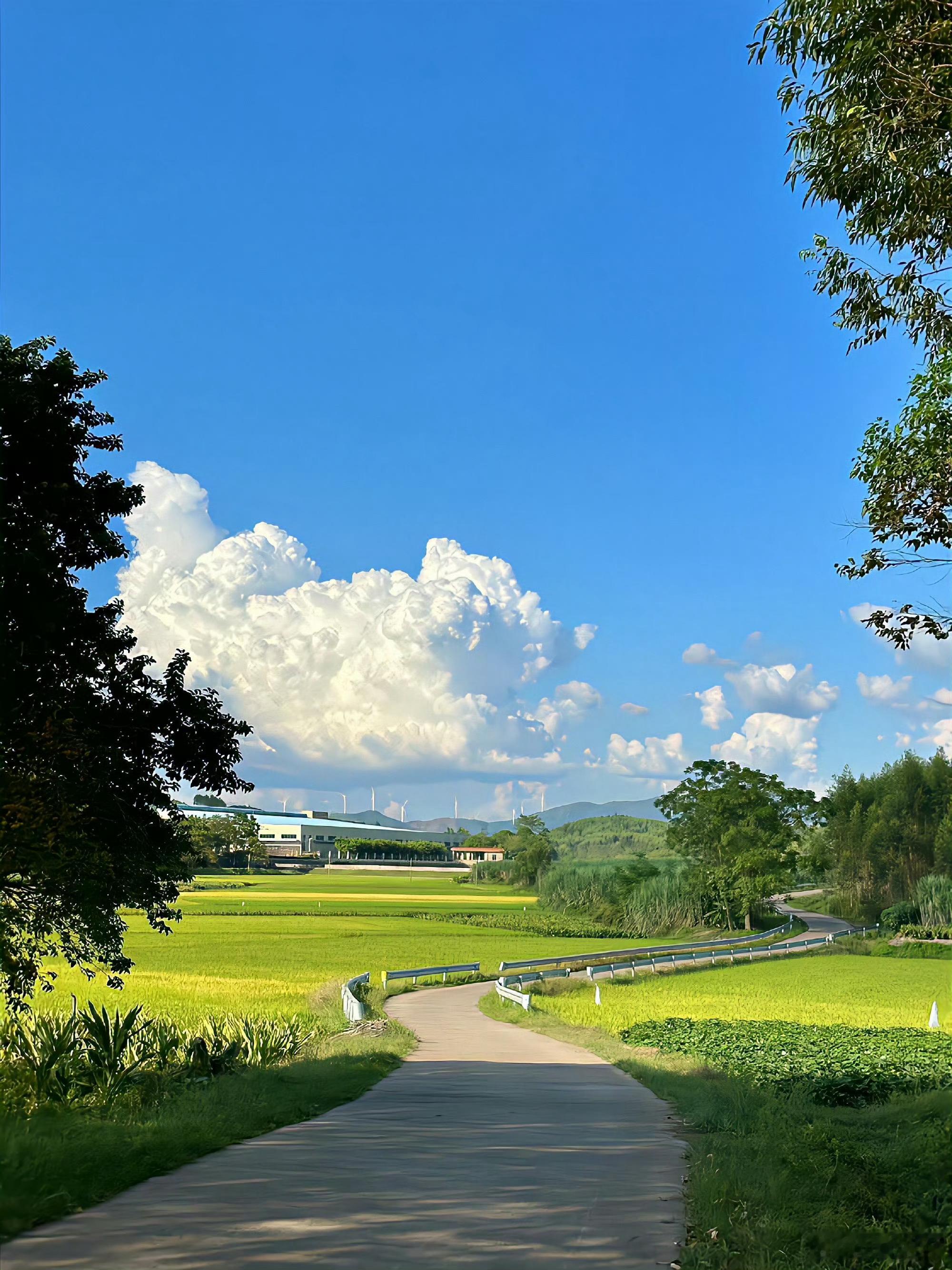 分享图片 ​​​