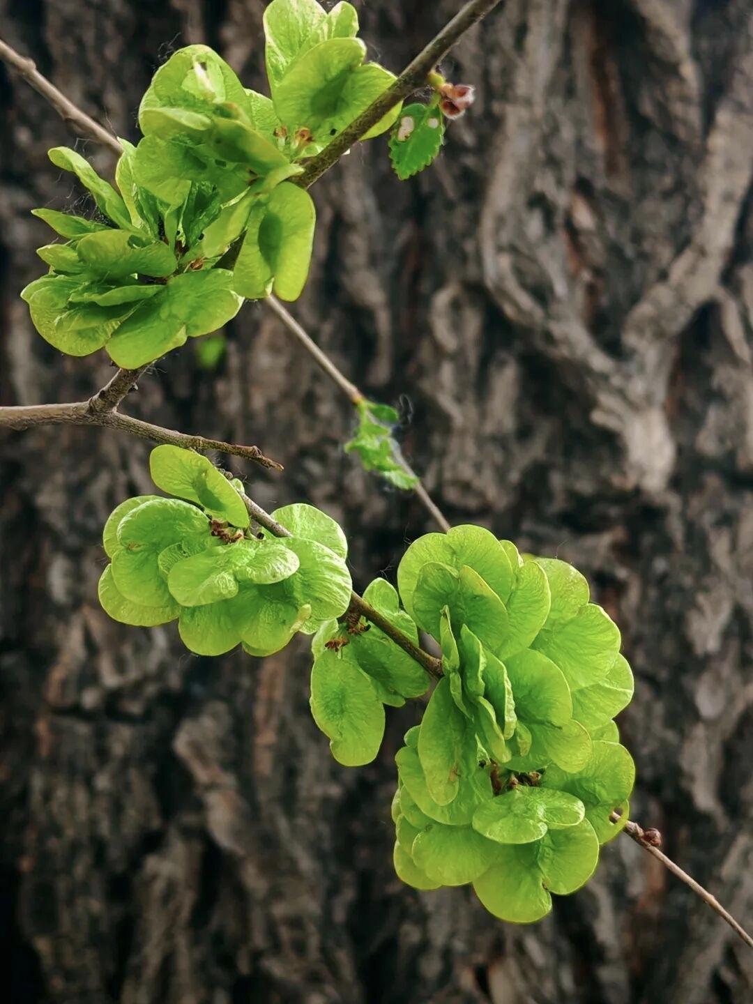 不要跟任何烂人烂事纠缠。从小就被父亲教育：石头大了绕着走。人生最好的状态是顺而不