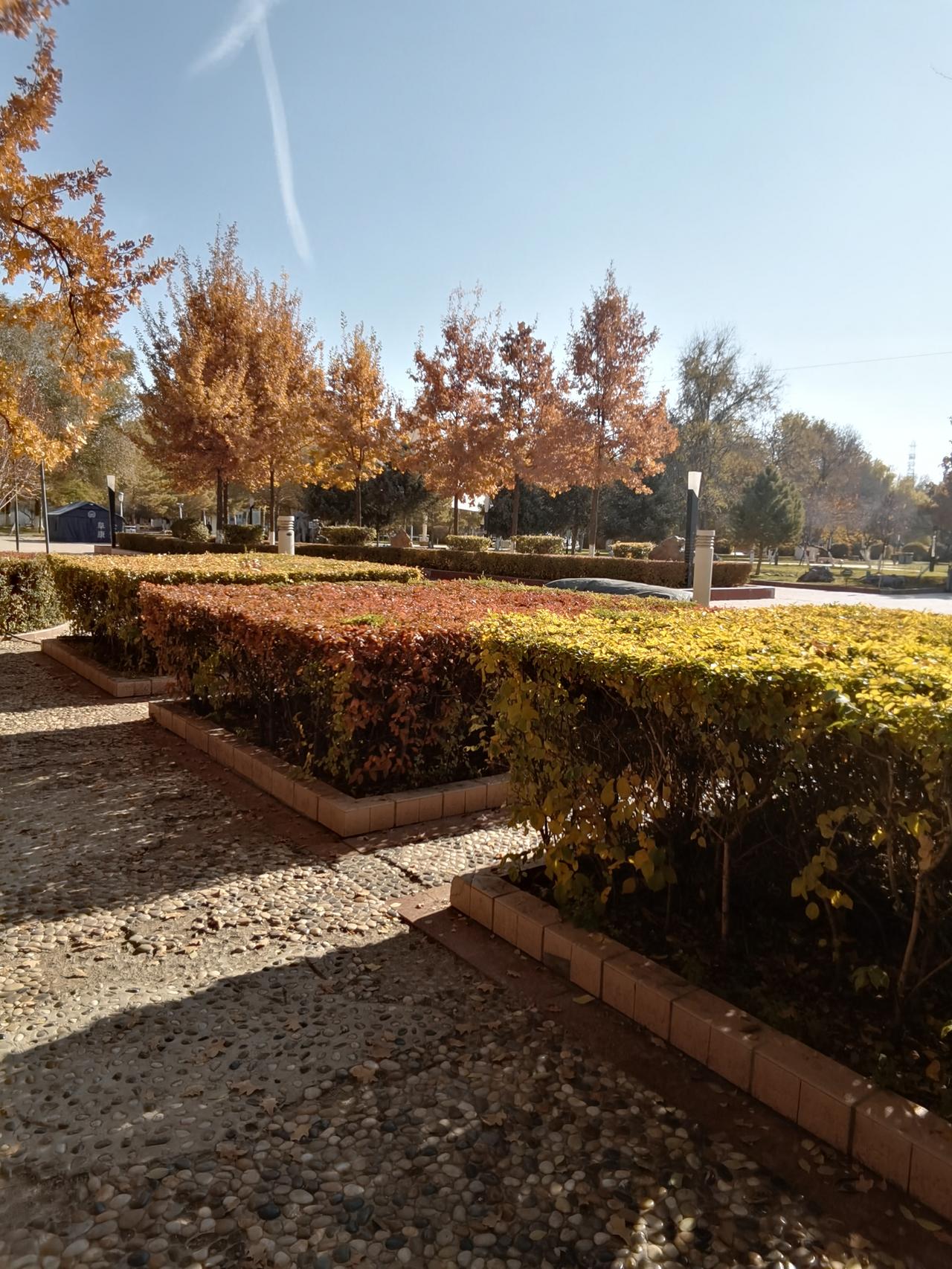 上联：秋霜催黄叶，诚邀下联夏雨润红花。