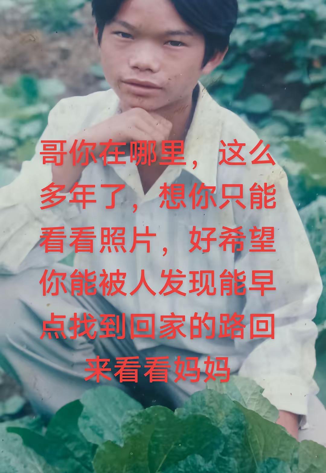 寻找哥哥卢明峰