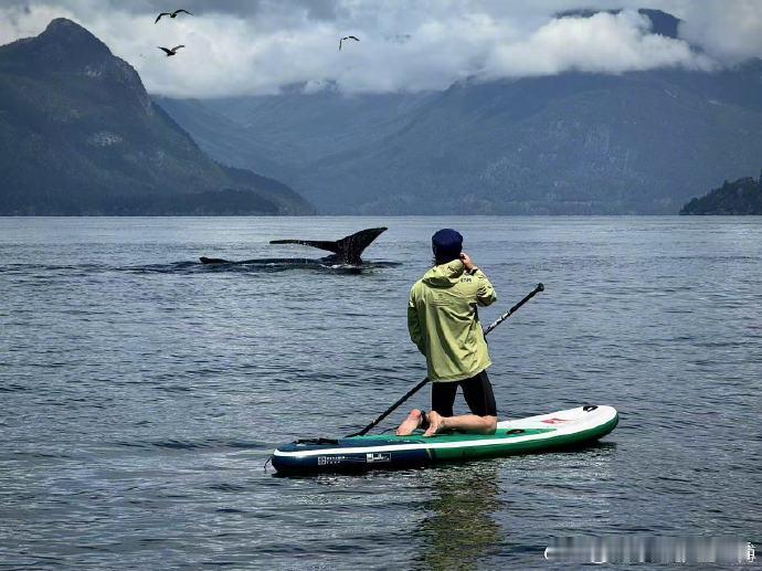 王一博悬崖跳水王一博晒花絮照 王一博深水抱石花絮好绝！徒手攀岩壁再放手坠水，极限