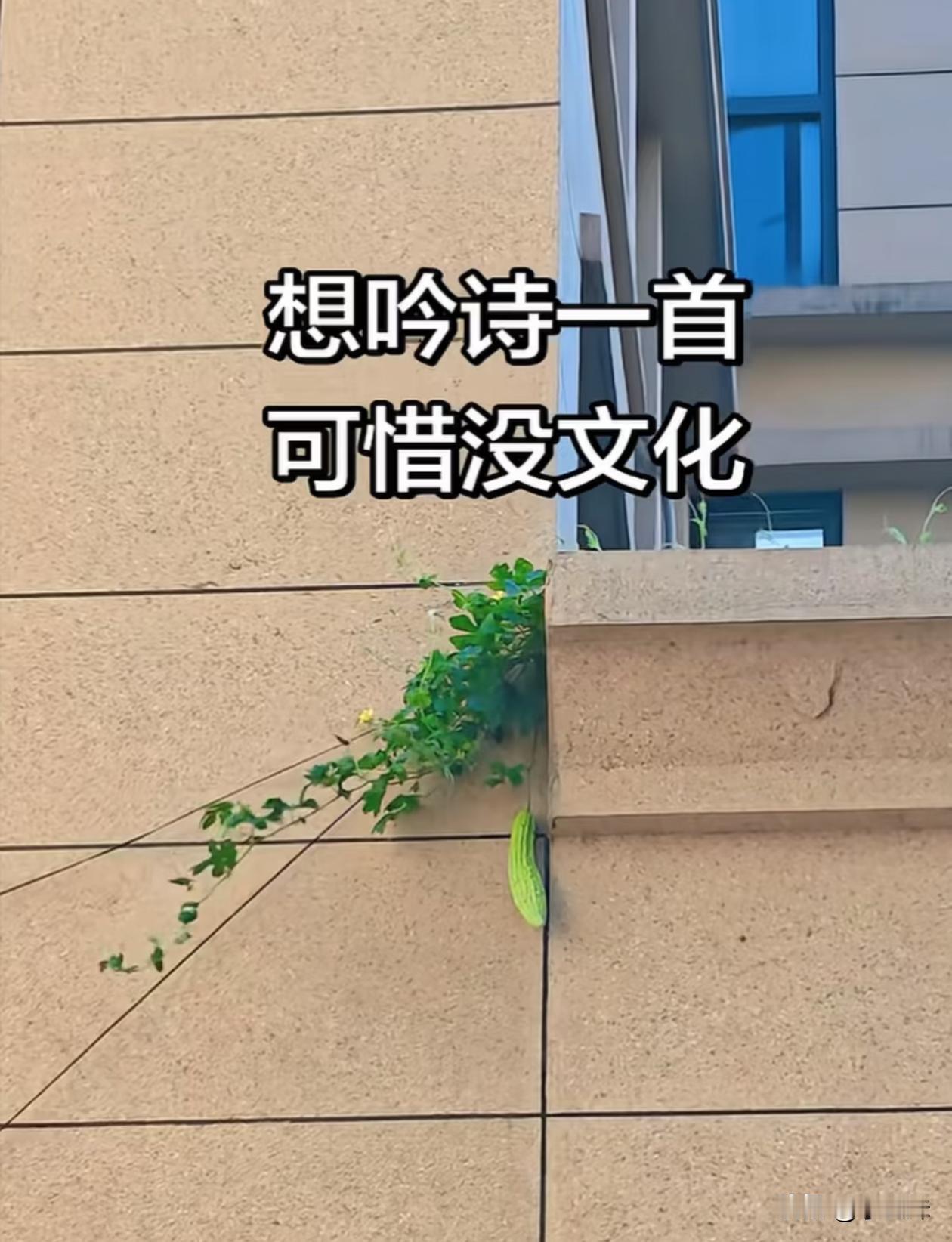 来个高手作诗一曲