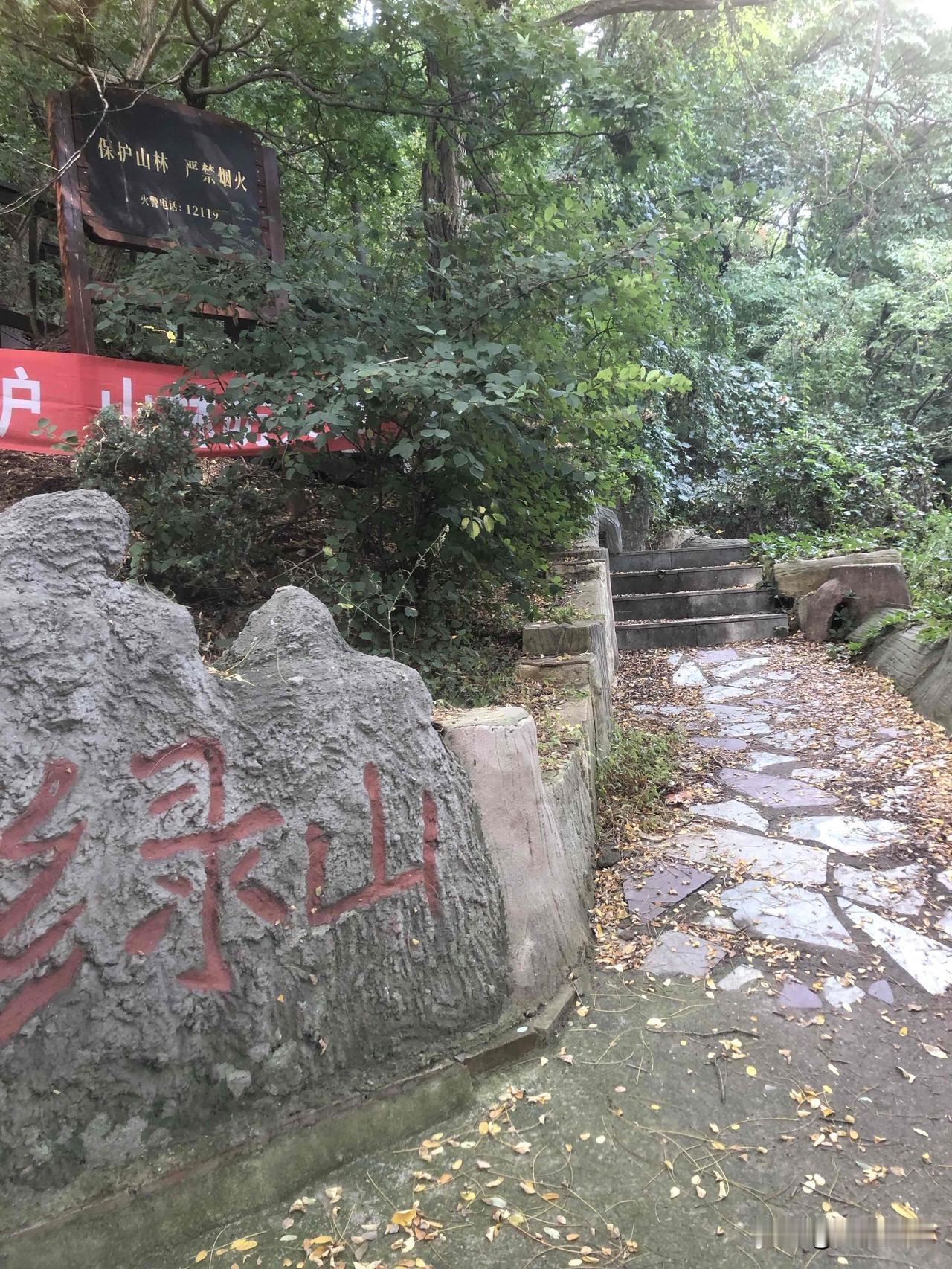 大连的市中心要说好逛，只有青泥洼商圈，而要想不消费只消遣，当属劳动公园，每次去总