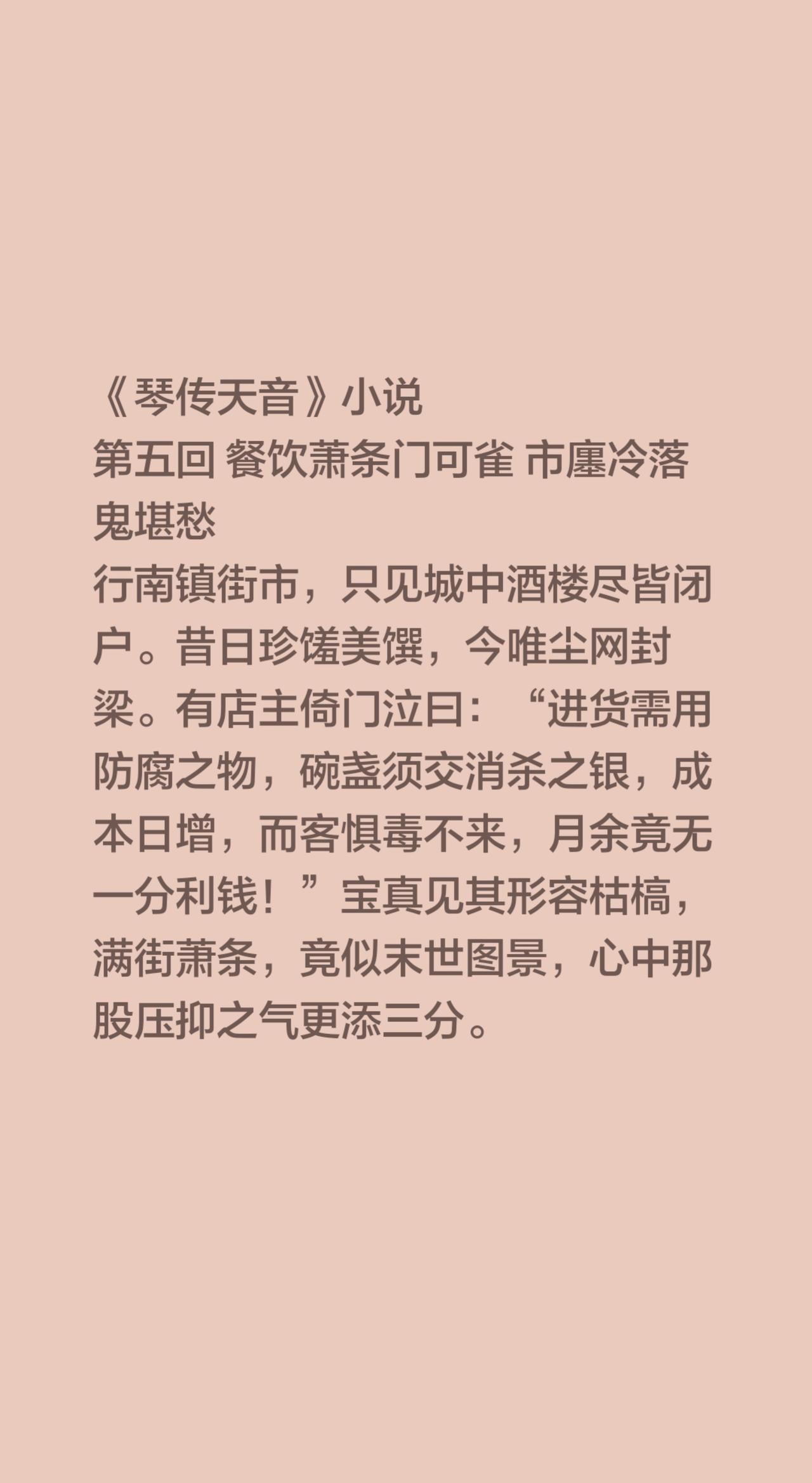 《琴传天音》小说
第五回 餐饮萧条门可雀 市廛冷落鬼堪愁
行南镇街市，只见城中酒